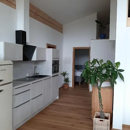 Apartment Loftwohnung Mit Bergblick Saalfelden