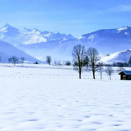 Loftwohnung Mit Bergblick * Saalfelden